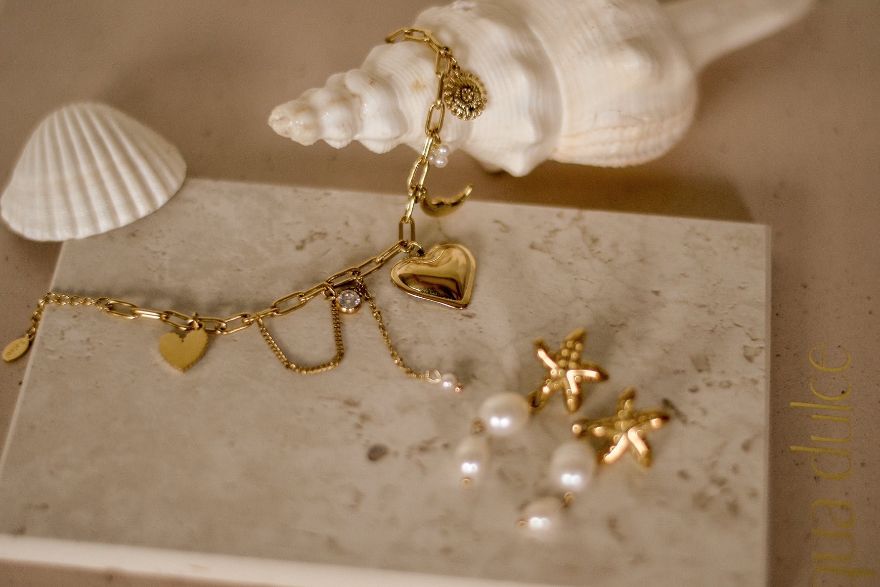 Cosmic Loop armband van stainless steel met delicate maanschijf charm, dromerig en elegant. Hypoallergeen en nikkelvrij.