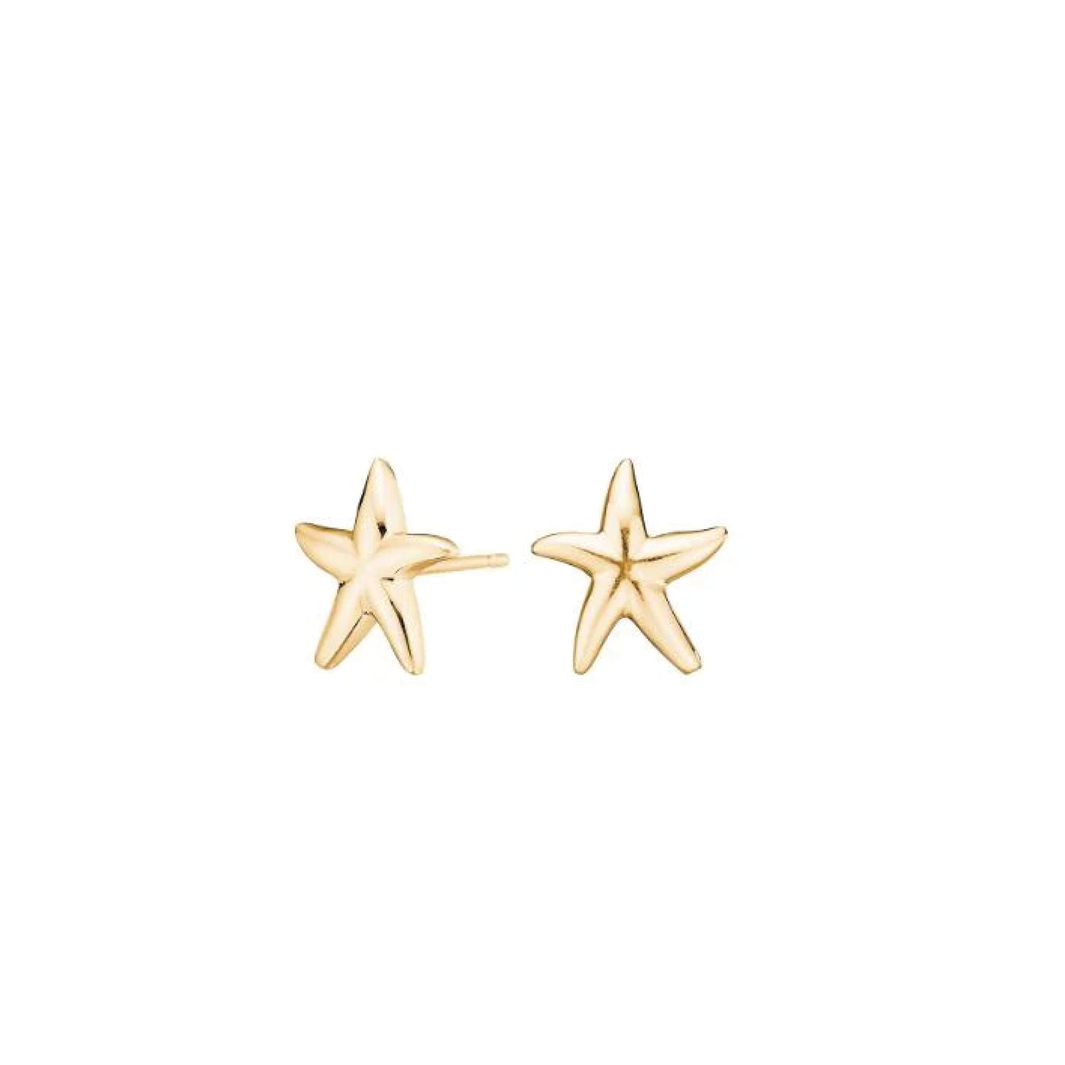 Maren oorbellen van 925 sterling zilver met 18K gold plating, subtiele zeesterbedel, elegant, zomers.